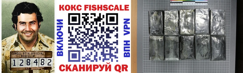 COCAIN FishScale Балтийск