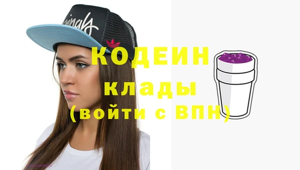 индика Пролетарск