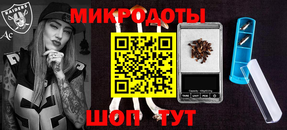 Псилоцибиновые грибы мицелий Балтийск