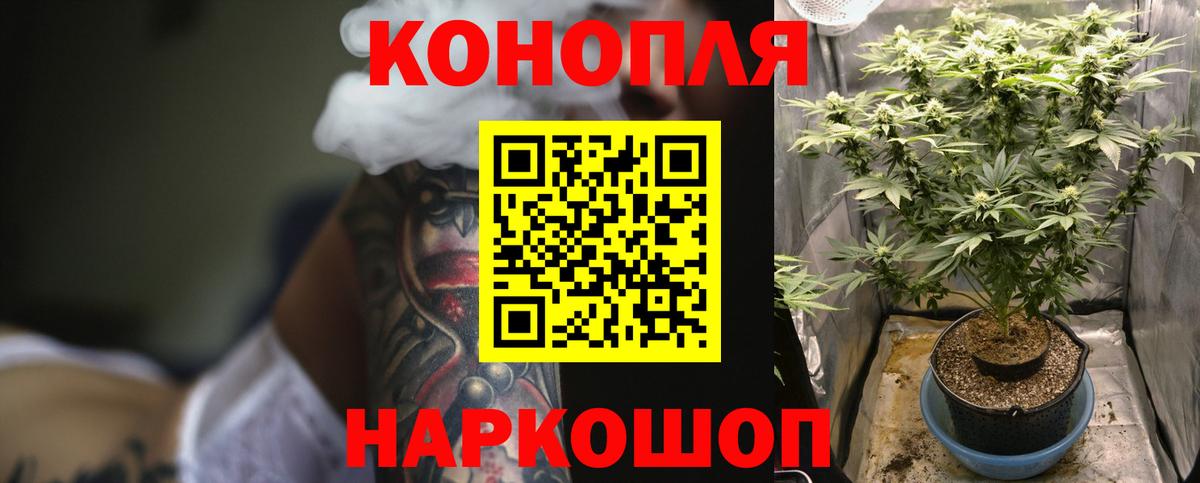 Канабис планчик  Канабис сатива  Канабис индика  МАРИХУАНА конопля  Вход с VPN  Балтийск 